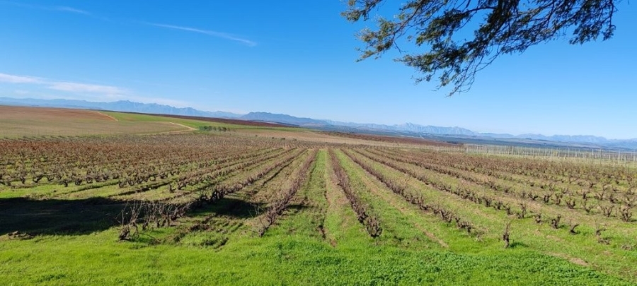 0 Bedroom Property for Sale in Darling Western Cape